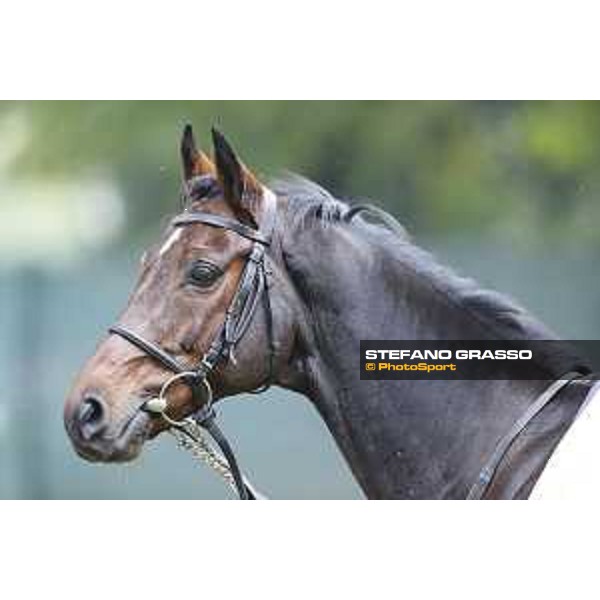 Portraits of Hurricane Fly Milano,18th october 2015 ph.Stefano Grasso