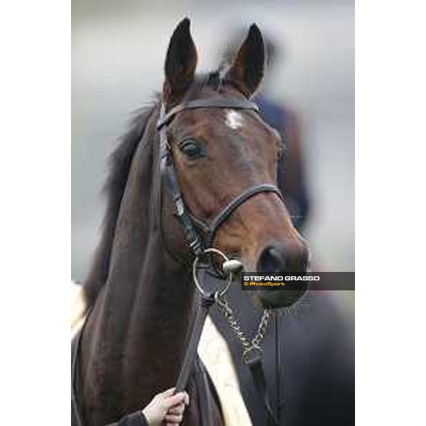 Portraits of Hurricane Fly Milano,18th october 2015 ph.Stefano Grasso