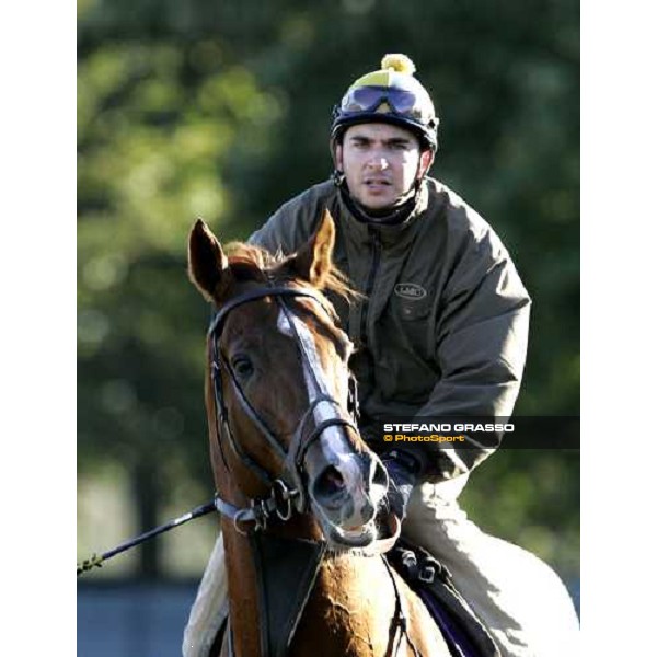 Starcraft after morning track works at Belmont Park - NY New York, 27th october 2005 ph. Stefano Grasso