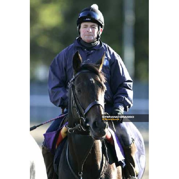 Oujia Board comes back to the quarantine barn after morning track works at Belmont Park - NY New York, 27th october 2005 ph. Stefano Grasso