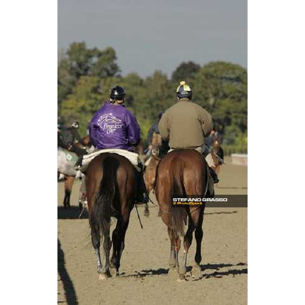 Starcraft with the pony after morning track works at Belmont Park - NY New York, 27th october 2005 ph. Stefano Grasso