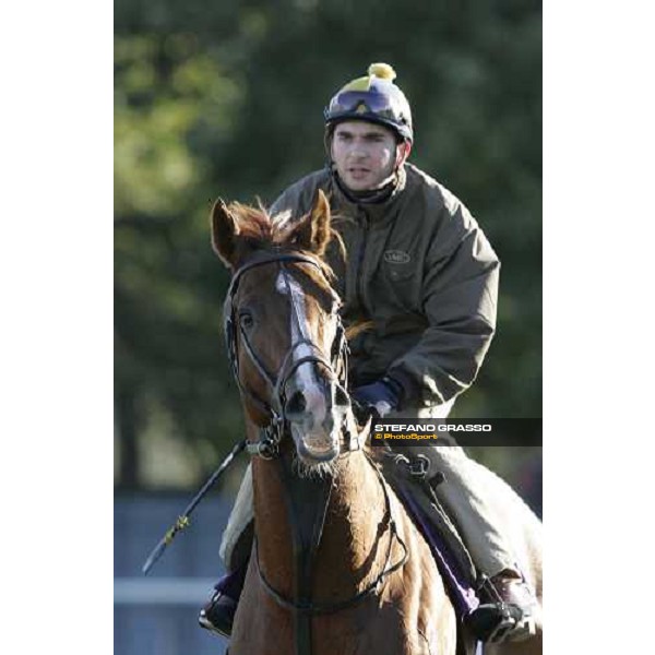 Starcraft after morning track works at Belmont Park - NY New York, 27th october 2005 ph. Stefano Grasso