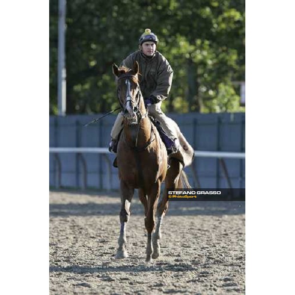 Starcraft after morning track works at Belmont Park - NY New York, 27th october 2005 ph. Stefano Grasso