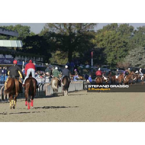 morning track works at Belmont Park - NY New York, 27th october 2005 ph. Stefano Grasso