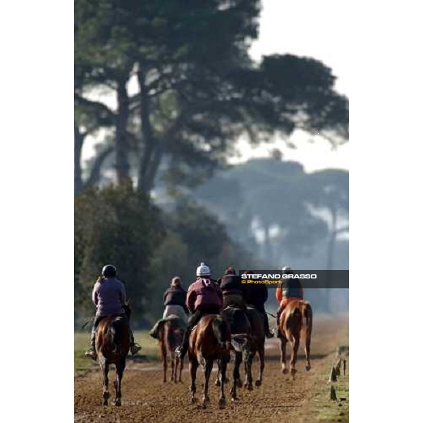 morning works at Pisa San Rossore march 11 2004 ph. Stefano Grasso