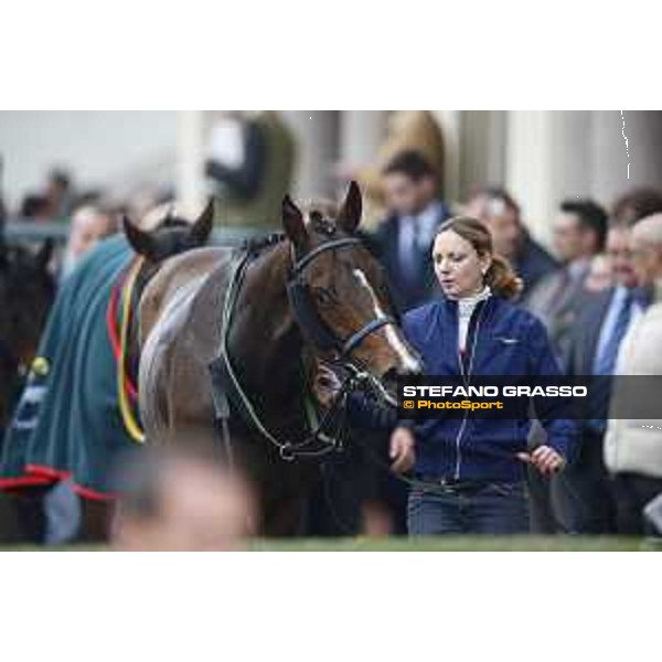 Aragoni and Slowpoke win the Premio Carlo Porta Milano, San Siro racecourse 18 oct.2015 ph.Stefano Grasso