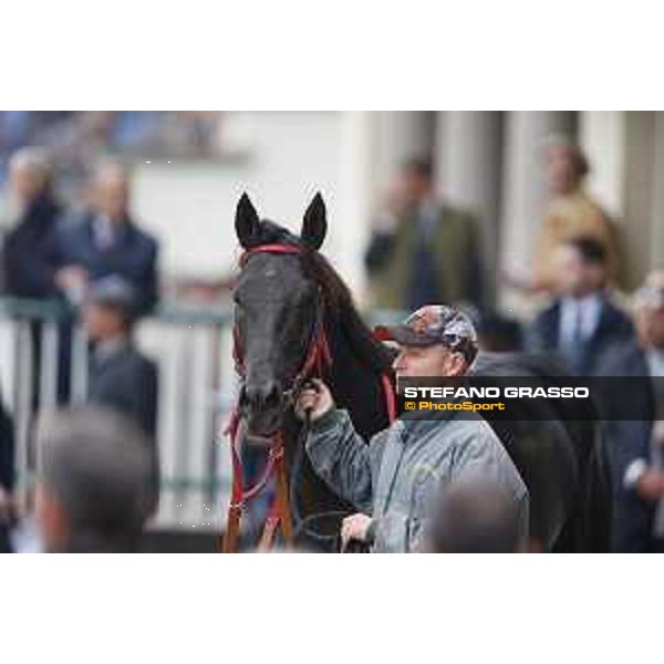 Aragoni and Slowpoke win the Premio Carlo Porta Milano, San Siro racecourse 18 oct.2015 ph.Stefano Grasso