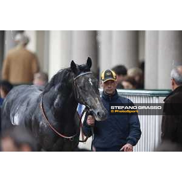 Aragoni and Slowpoke win the Premio Carlo Porta Milano, San Siro racecourse 18 oct.2015 ph.Stefano Grasso