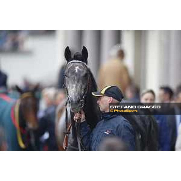 Aragoni and Slowpoke win the Premio Carlo Porta Milano, San Siro racecourse 18 oct.2015 ph.Stefano Grasso