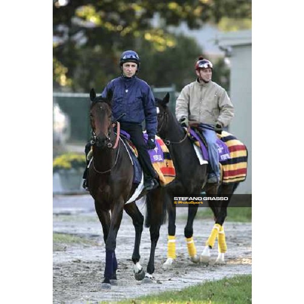 Shirocco and Whipper prepares for morning track works at Belmont Park - NY New York, 27th october 2005 ph. Stefano Grasso