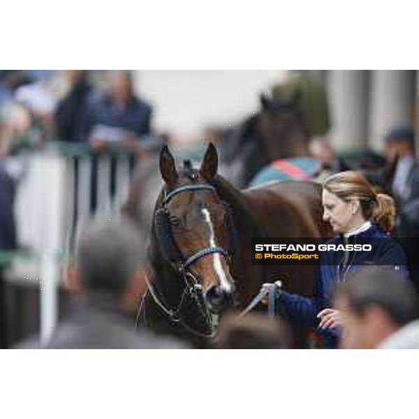 Aragoni and Slowpoke win the Premio Carlo Porta Milano, San Siro racecourse 18 oct.2015 ph.Stefano Grasso