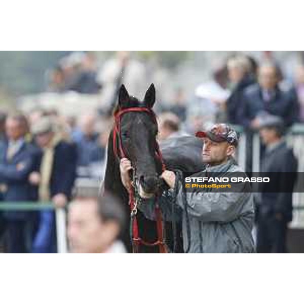 Aragoni and Slowpoke win the Premio Carlo Porta Milano, San Siro racecourse 18 oct.2015 ph.Stefano Grasso