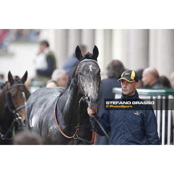 Aragoni and Slowpoke win the Premio Carlo Porta Milano, San Siro racecourse 18 oct.2015 ph.Stefano Grasso