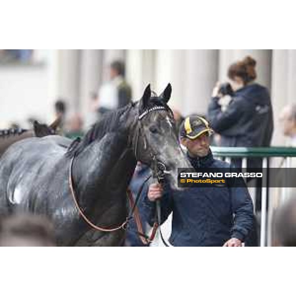 Aragoni and Slowpoke win the Premio Carlo Porta Milano, San Siro racecourse 18 oct.2015 ph.Stefano Grasso
