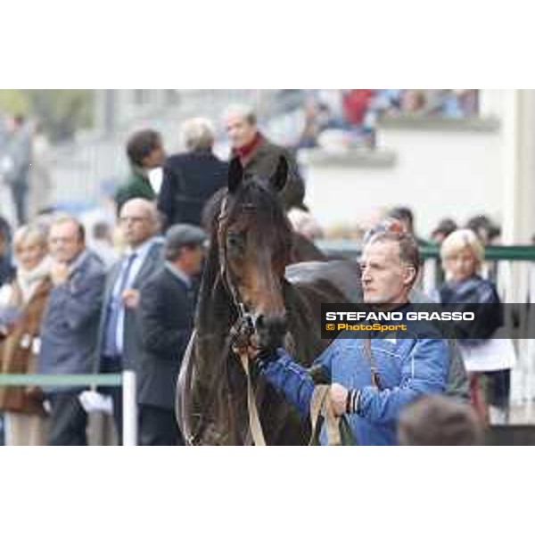 Aragoni and Slowpoke win the Premio Carlo Porta Milano, San Siro racecourse 18 oct.2015 ph.Stefano Grasso