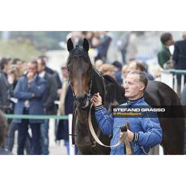 Aragoni and Slowpoke win the Premio Carlo Porta Milano, San Siro racecourse 18 oct.2015 ph.Stefano Grasso