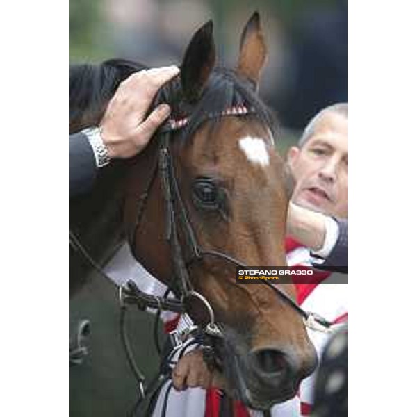 Andrasch Starke and Felician win the Premio del Piazzale Milano, San Siro racecourse 18 oct.2015 ph.Stefano Grasso