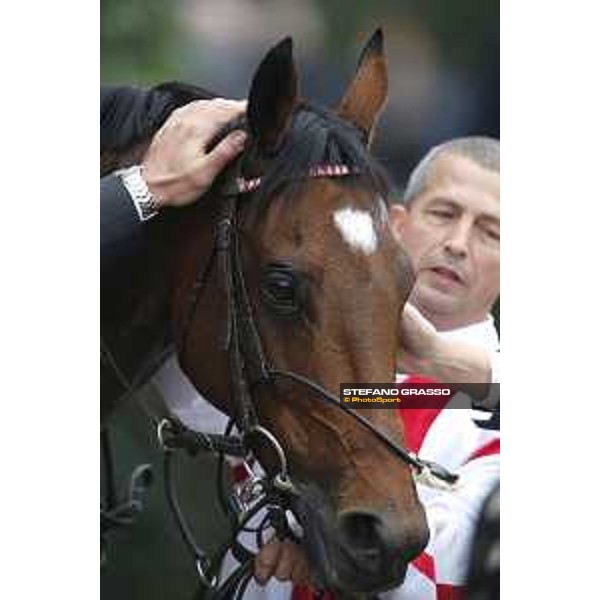 Andrasch Starke and Felician win the Premio del Piazzale Milano, San Siro racecourse 18 oct.2015 ph.Stefano Grasso