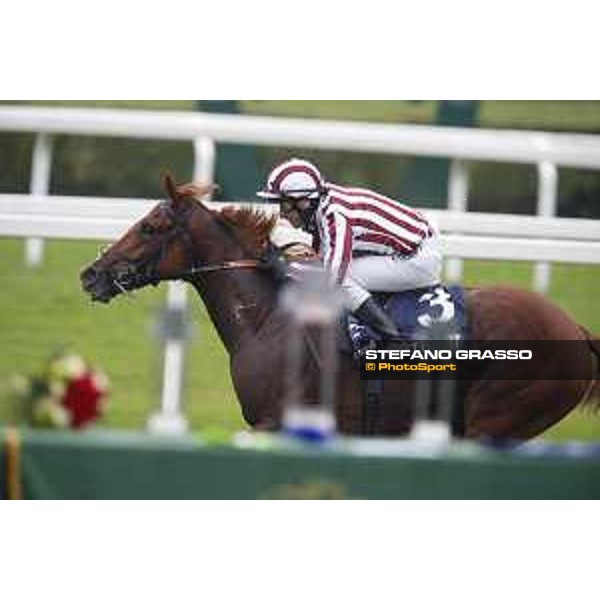 Carlo Fiocchi and Biz Heart win the Gran Criterium Milano, San Siro racecourse 18 oct.2015 ph.Stefano Grasso