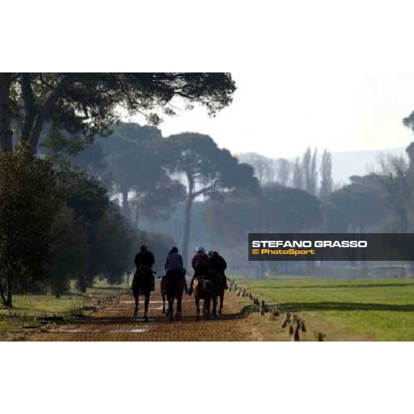 morning works at Pisa San Rossore march 11 2004 ph. Stefano Grasso