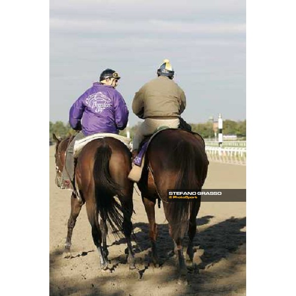 Starcrfaft comes back to the quarantine stable after morning track works at Belmont Park - NY New York, 27th october 2005 ph. Stefano Grasso