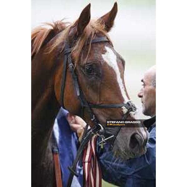 Biz Heart win the Gran Criterium Milano, San Siro racecourse 18 oct.2015 ph.Stefano Grasso