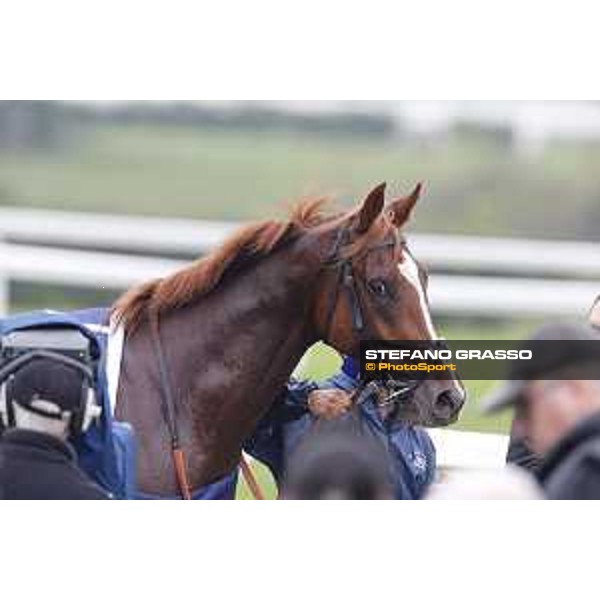 Biz Heart win the Gran Criterium Milano, San Siro racecourse 18 oct.2015 ph.Stefano Grasso