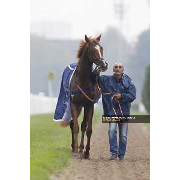 Biz Heart win the Gran Criterium Milano, San Siro racecourse 18 oct.2015 ph.Stefano Grasso