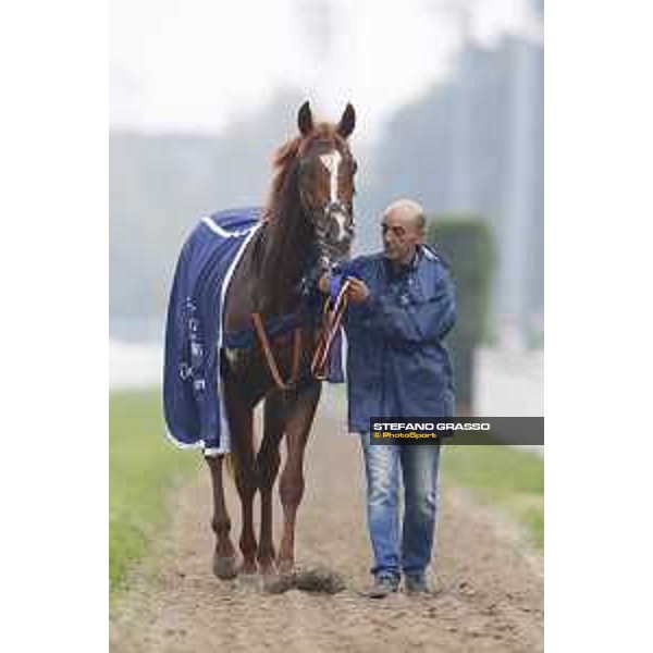Biz Heart win the Gran Criterium Milano, San Siro racecourse 18 oct.2015 ph.Stefano Grasso