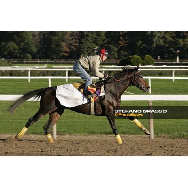 Whipper during morning track works at Belmont Park - NY New York, 27th october 2005 ph. Stefano Grasso