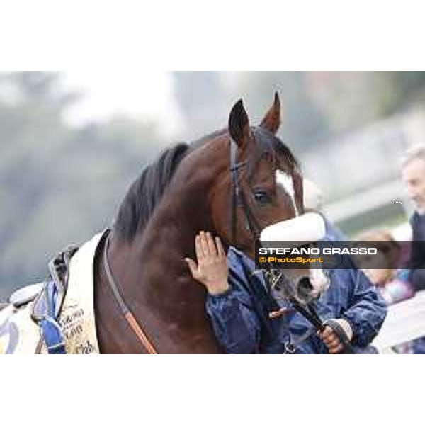 Andrasch Starke and Lovelyin win the Gran Premio del Jockey Club Milano, San Siro racecourse 18 oct.2015 ph.Stefano Grasso