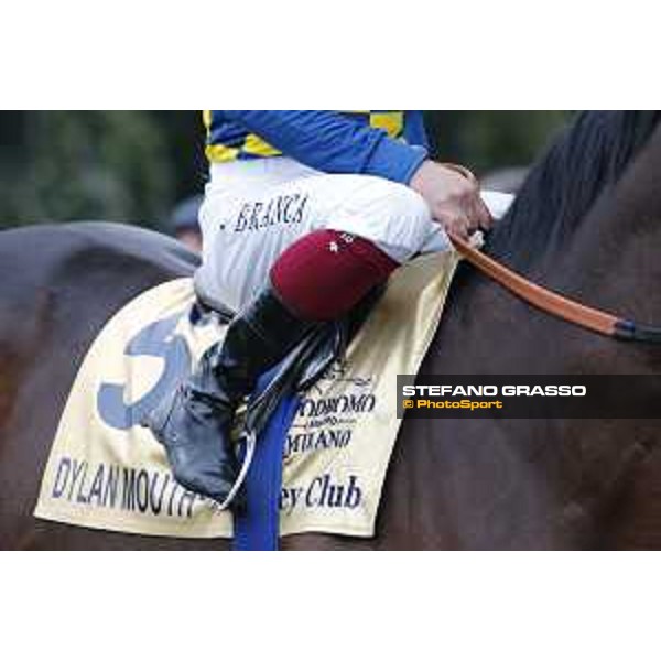 Andrasch Starke and Lovelyin win the Gran Premio del Jockey Club Milano, San Siro racecourse 18 oct.2015 ph.Stefano Grasso
