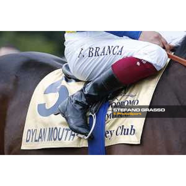 Andrasch Starke and Lovelyin win the Gran Premio del Jockey Club Milano, San Siro racecourse 18 oct.2015 ph.Stefano Grasso