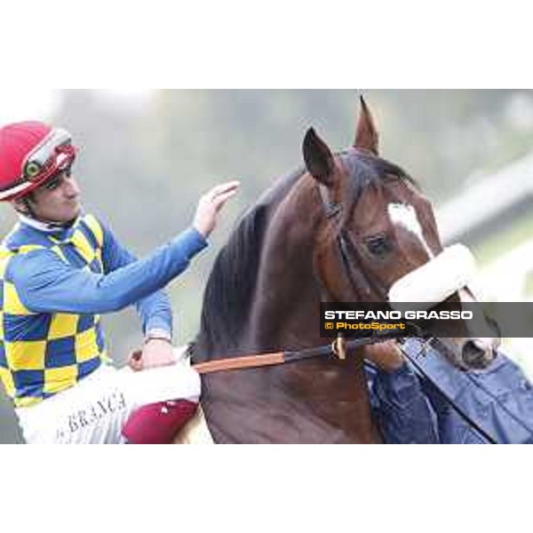 Andrasch Starke and Lovelyin win the Gran Premio del Jockey Club Milano, San Siro racecourse 18 oct.2015 ph.Stefano Grasso