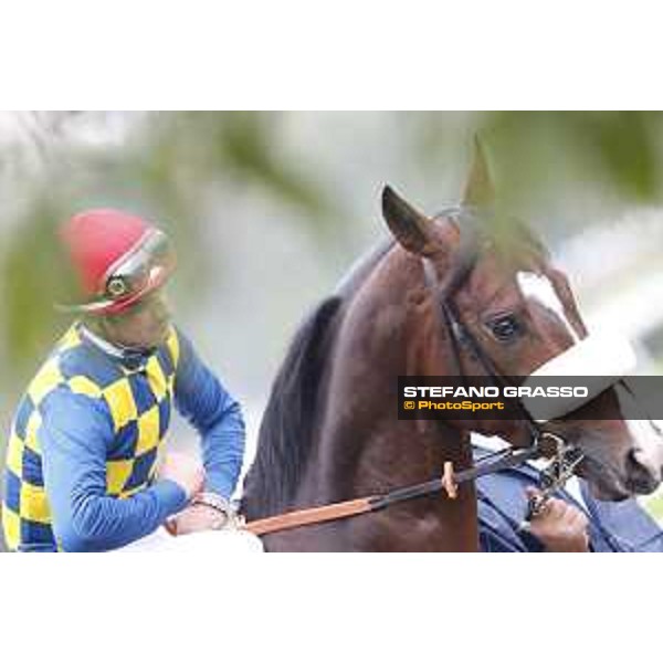 Andrasch Starke and Lovelyin win the Gran Premio del Jockey Club Milano, San Siro racecourse 18 oct.2015 ph.Stefano Grasso