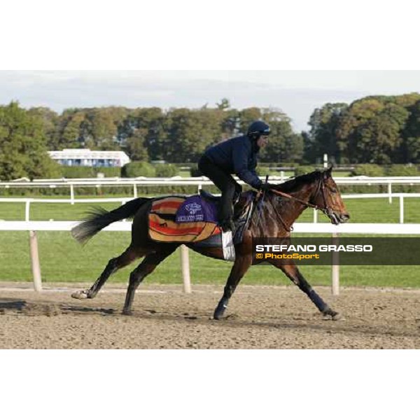 Shirocco during morning track works at Belmont Park - NY New York, 27th october 2005 ph. Stefano Grasso