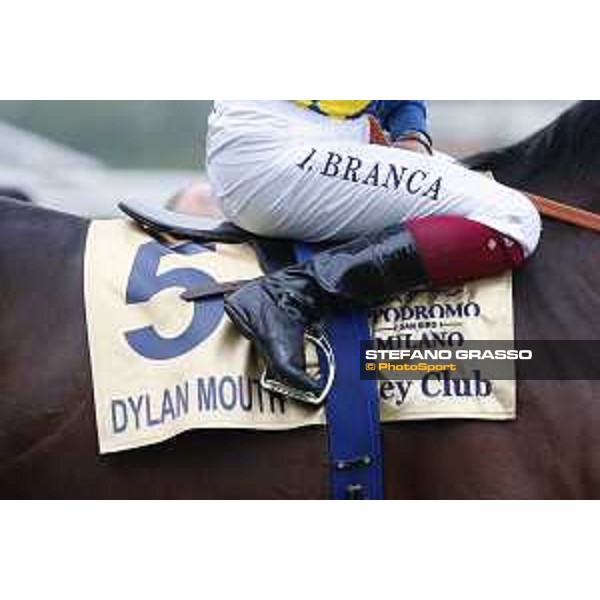 Andrasch Starke and Lovelyin win the Gran Premio del Jockey Club Milano, San Siro racecourse 18 oct.2015 ph.Stefano Grasso