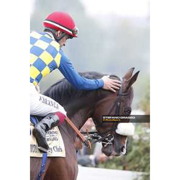 Andrasch Starke and Lovelyin win the Gran Premio del Jockey Club Milano, San Siro racecourse 18 oct.2015 ph.Stefano Grasso