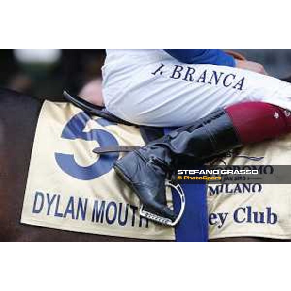 Andrasch Starke and Lovelyin win the Gran Premio del Jockey Club Milano, San Siro racecourse 18 oct.2015 ph.Stefano Grasso