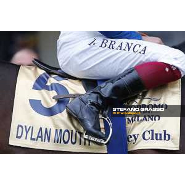 Andrasch Starke and Lovelyin win the Gran Premio del Jockey Club Milano, San Siro racecourse 18 oct.2015 ph.Stefano Grasso