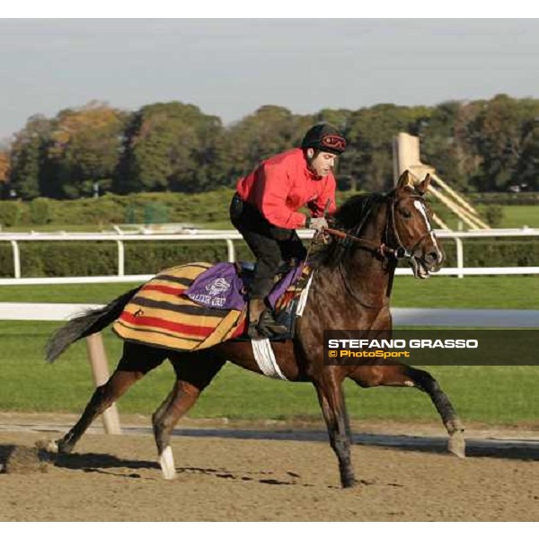 Valixir during morning track works at Belmont Park - NY New York, 27th october 2005 ph. Stefano Grasso