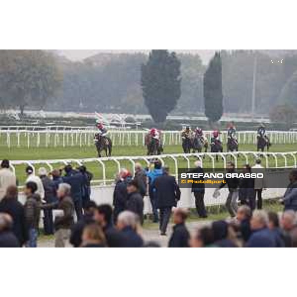Andrasch Starke and Lovelyin win the Gran Premio del Jockey Club Milano, San Siro racecourse 18 oct.2015 ph.Stefano Grasso