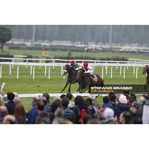 Andrasch Starke and Lovelyin win the Gran Premio del Jockey Club Milano, San Siro racecourse 18 oct.2015 ph.Stefano Grasso