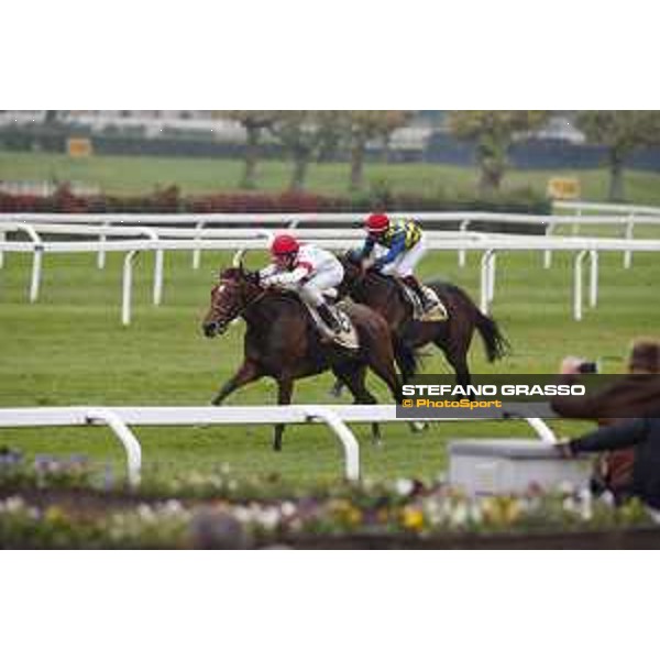 Andrasch Starke and Lovelyin win the Gran Premio del Jockey Club Milano, San Siro racecourse 18 oct.2015 ph.Stefano Grasso