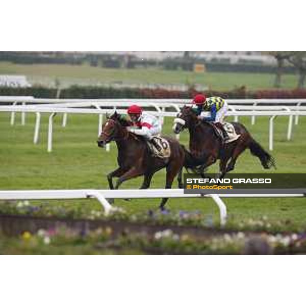 Andrasch Starke and Lovelyin win the Gran Premio del Jockey Club Milano, San Siro racecourse 18 oct.2015 ph.Stefano Grasso