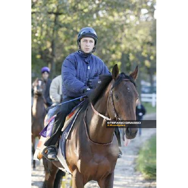 Shirocco preparing for morning track works at Belmont Park - NY New York, 27th october 2005 ph. Stefano Grasso