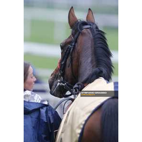 Andrasch Starke and Lovelyin win the Gran Premio del Jockey Club Milano, San Siro racecourse 18 oct.2015 ph.Stefano Grasso
