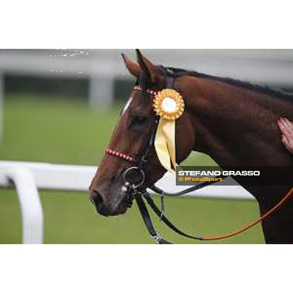 Andrasch Starke and Lovelyin win the Gran Premio del Jockey Club Milano, San Siro racecourse 18 oct.2015 ph.Stefano Grasso