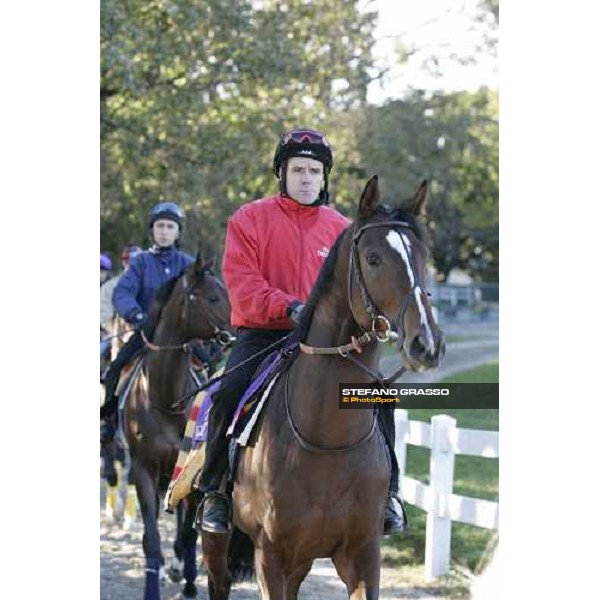Valixir followed by Shirocco enters to the track for morning track works at Belmont Park - NY New York, 27th october 2005 ph. Stefano Grasso