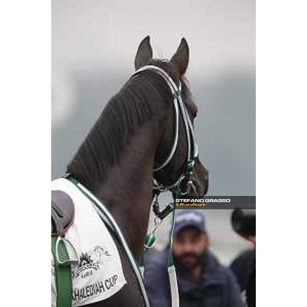 Al Khalediah Cup Milano, San Siro racecourse 18 oct.2015 ph.Stefano Grasso